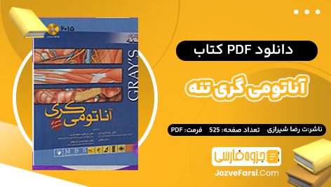 دانلود PDF کتاب آناتومی گری تنه رضا شیرازی 525 صفحه پی دی اف 📕